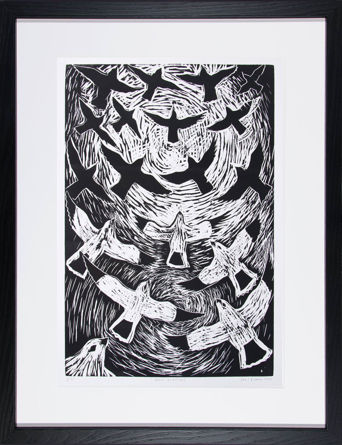 Paul Bloomer, Snow Buntings, 2022