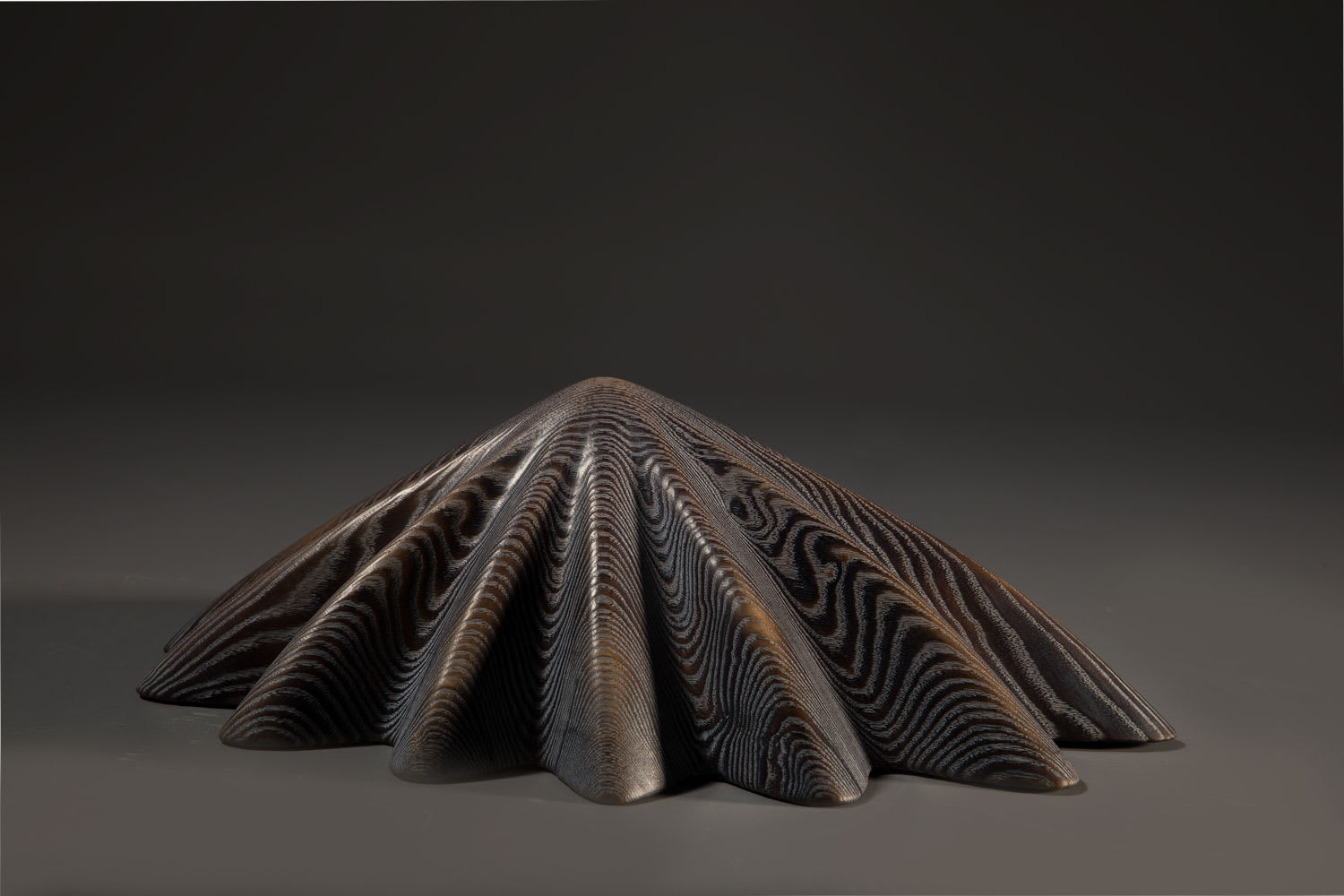 Duke Christie, Torched Limpet (small), 2020