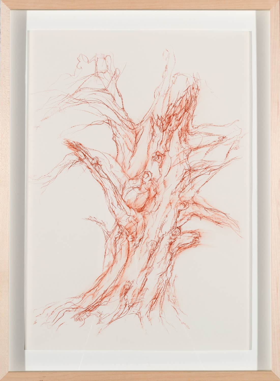 Tansy Lee Moir, Binns Beech West, 2022