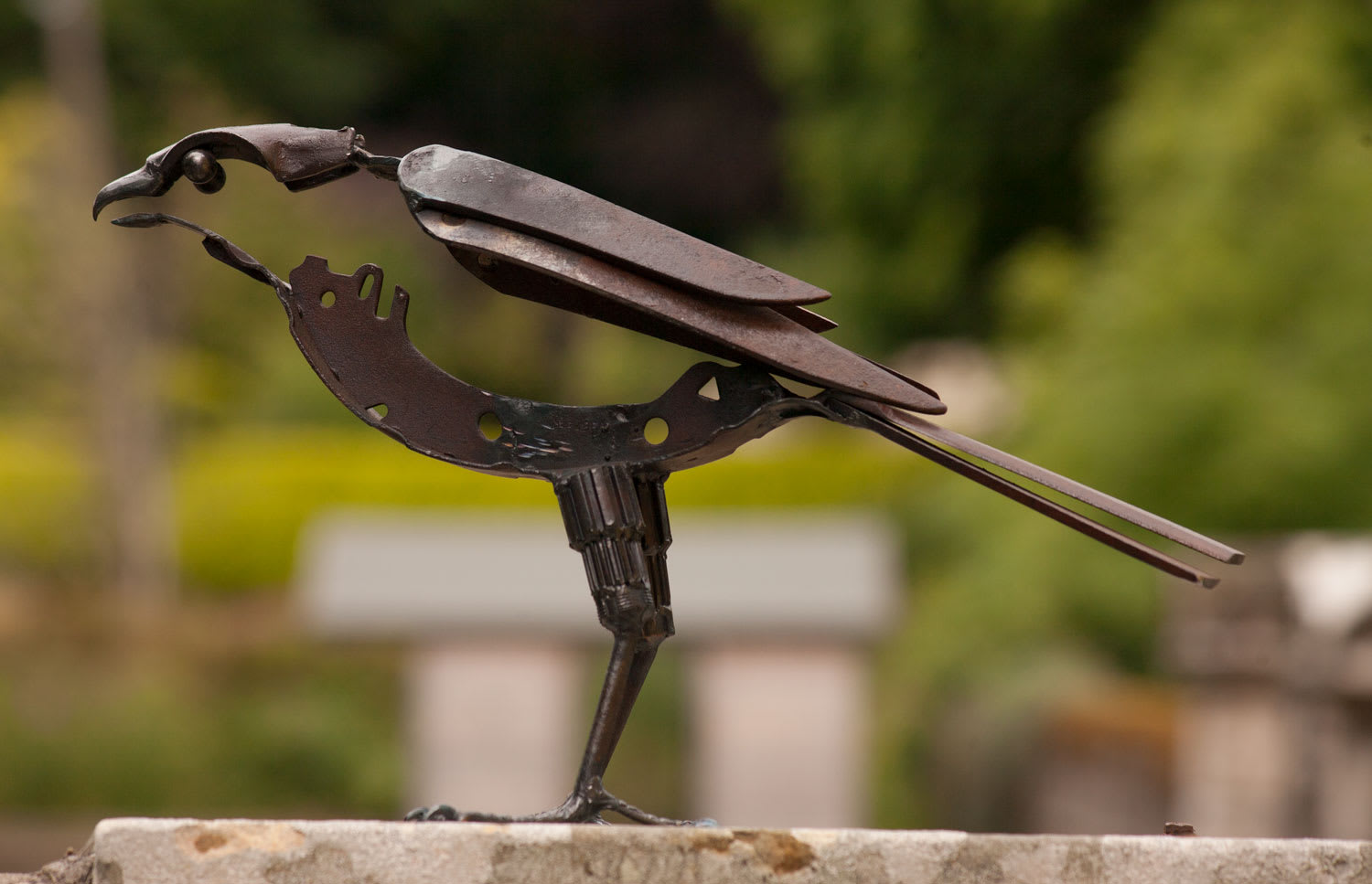 Helen Denerley, Sparrowhawk II