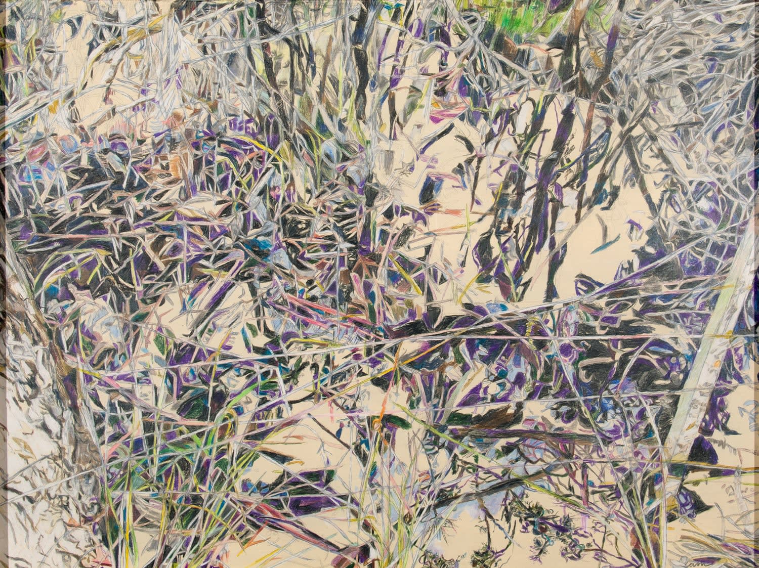 Patricia Paolozzi Cain, Map ii, 2023