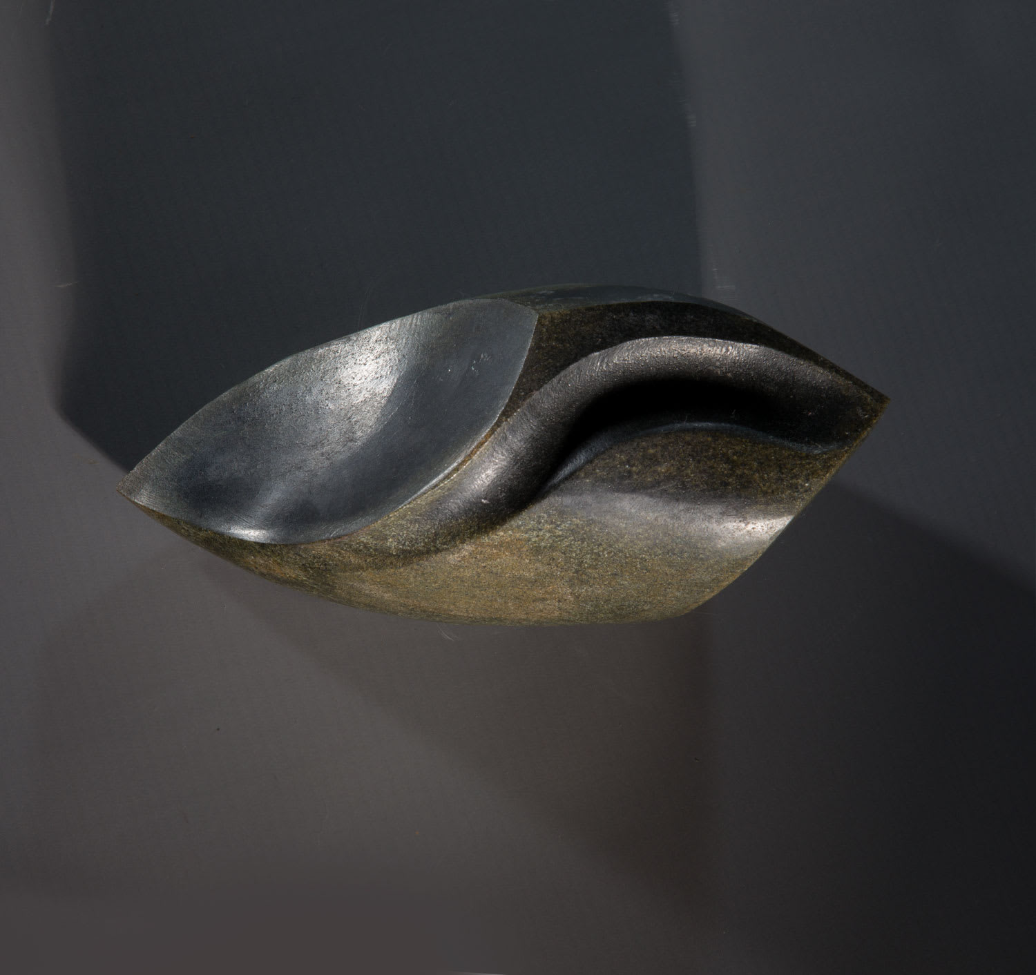 Steve Dilworth, Tool, 2020