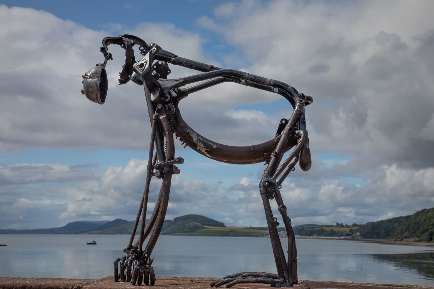 Helen Denerley, Male orangutan, 2023