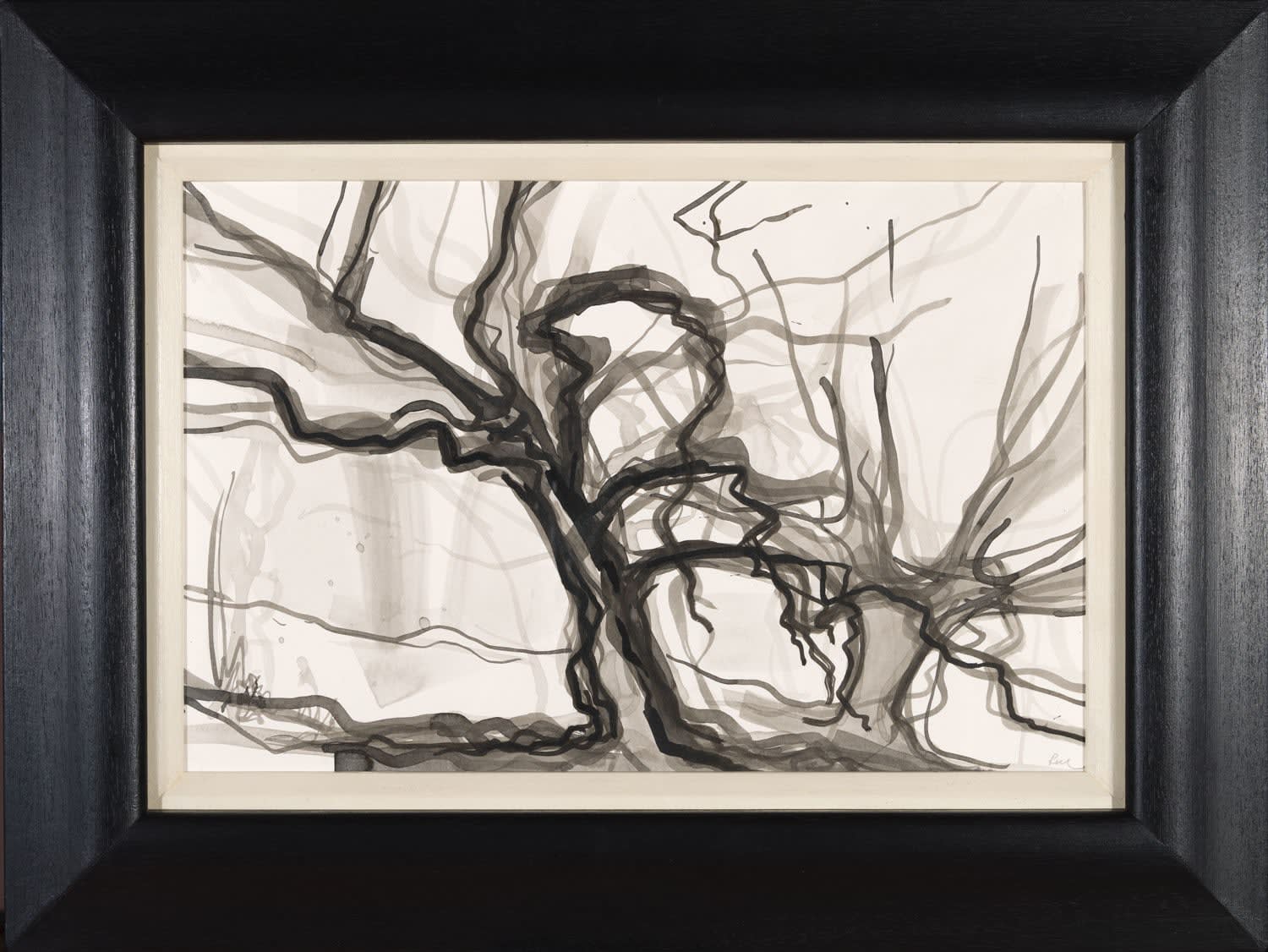 Lizzie Rose, Leaning Oak, 2025