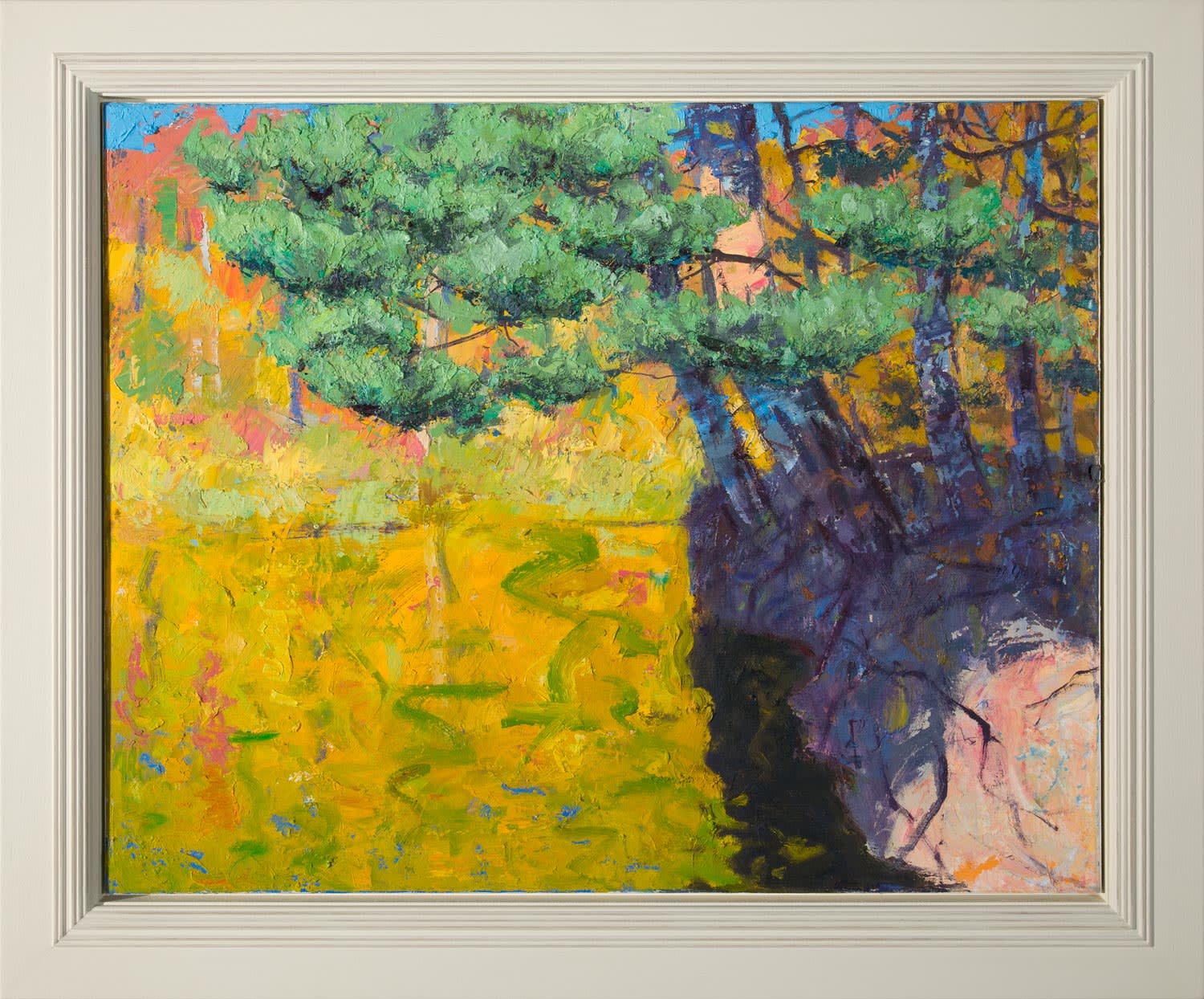 Allan MacDonald, canopy, Tea Lake Dam, 2021