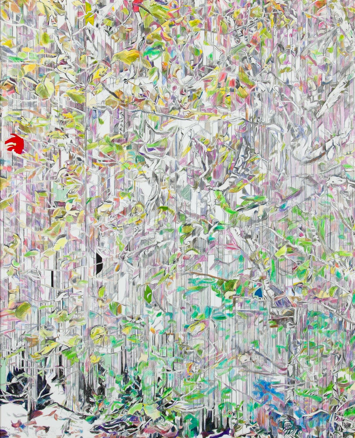 Ten Birds | PATRICIA CAIN