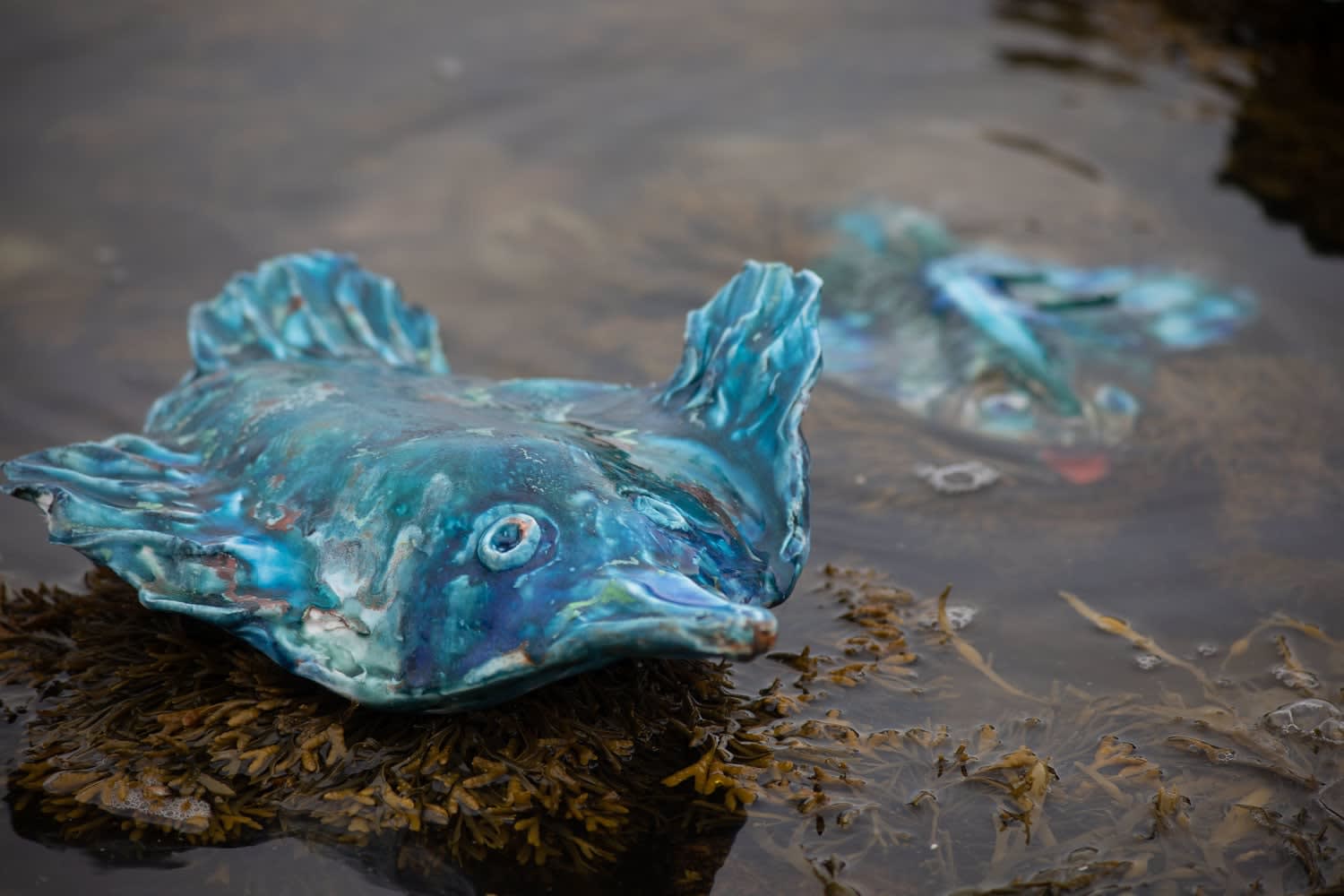 Lotte Glob, Flying Creature 1, 2022