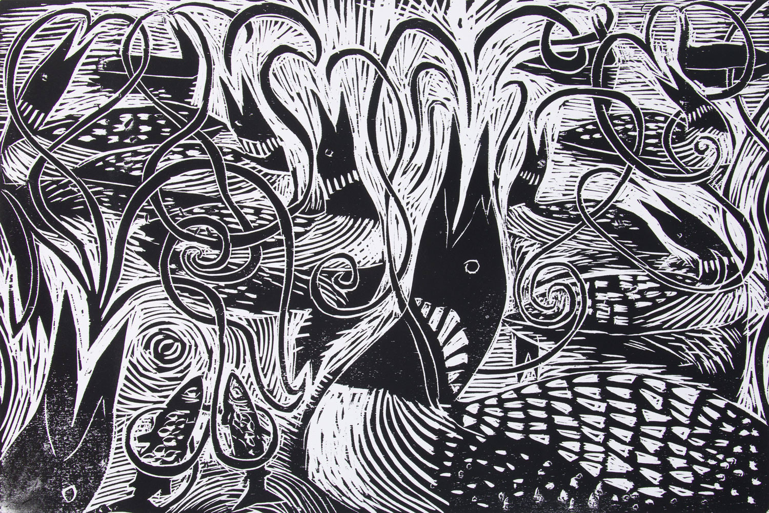 Cry | PAUL BLOOMER