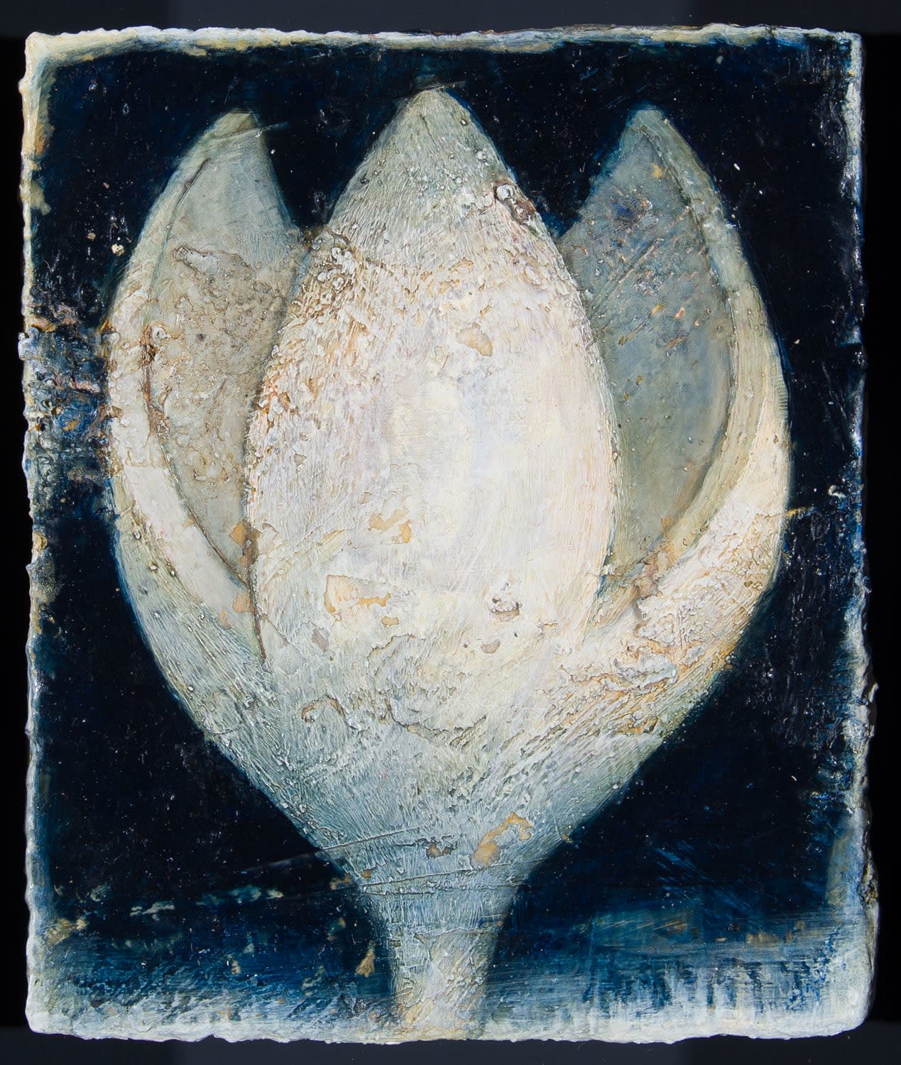 Peter White, Pod, 2022