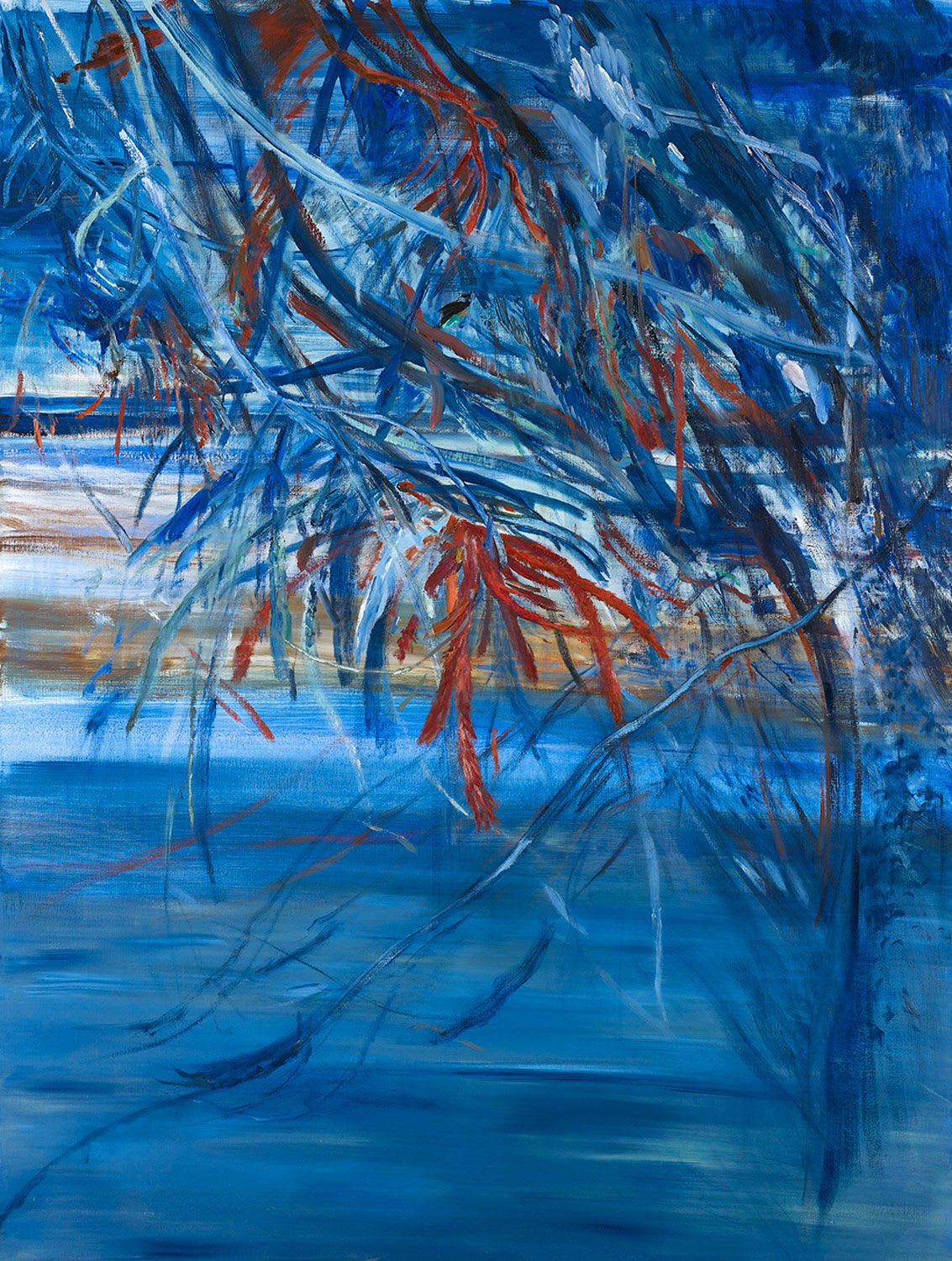 Calum McClure, Araucaria Araucaria, 2021