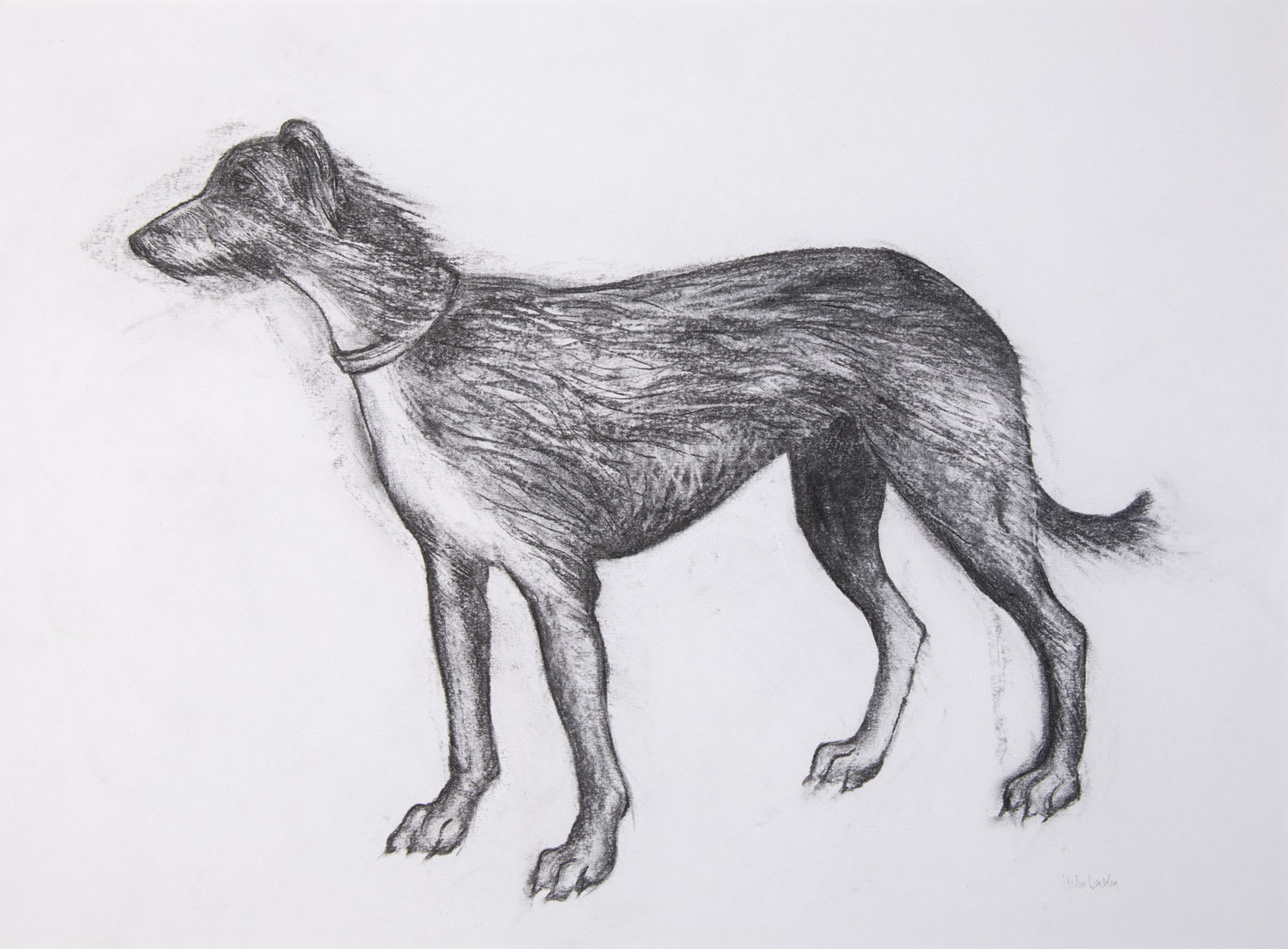 Helen Denerley, Dog Drawing, 2019