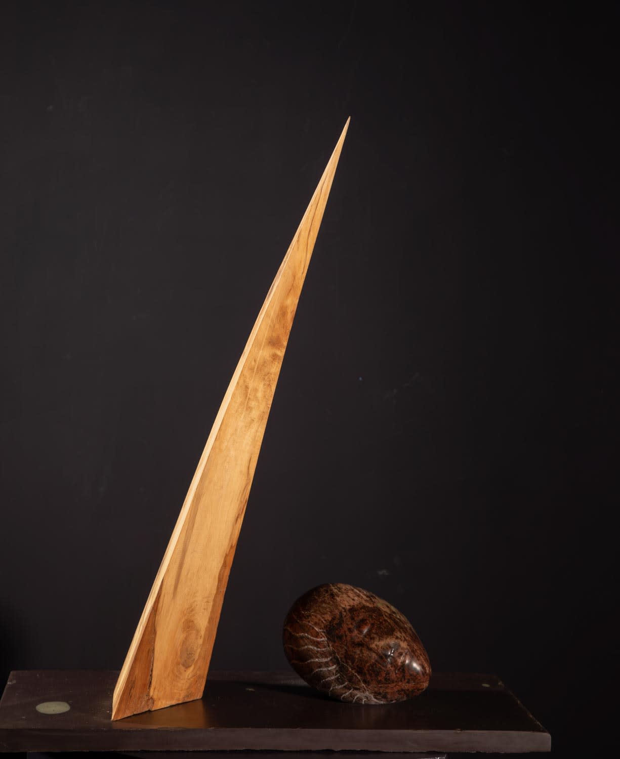 Stewart Lowe, Guardian