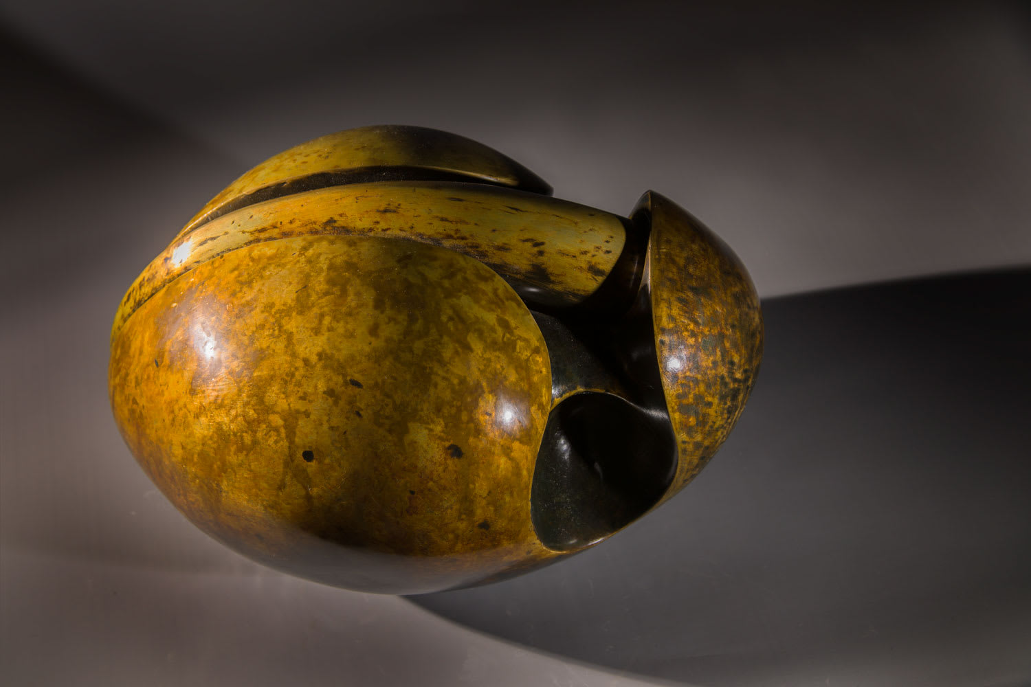 Steve Dilworth, Beaked Bird, 2014