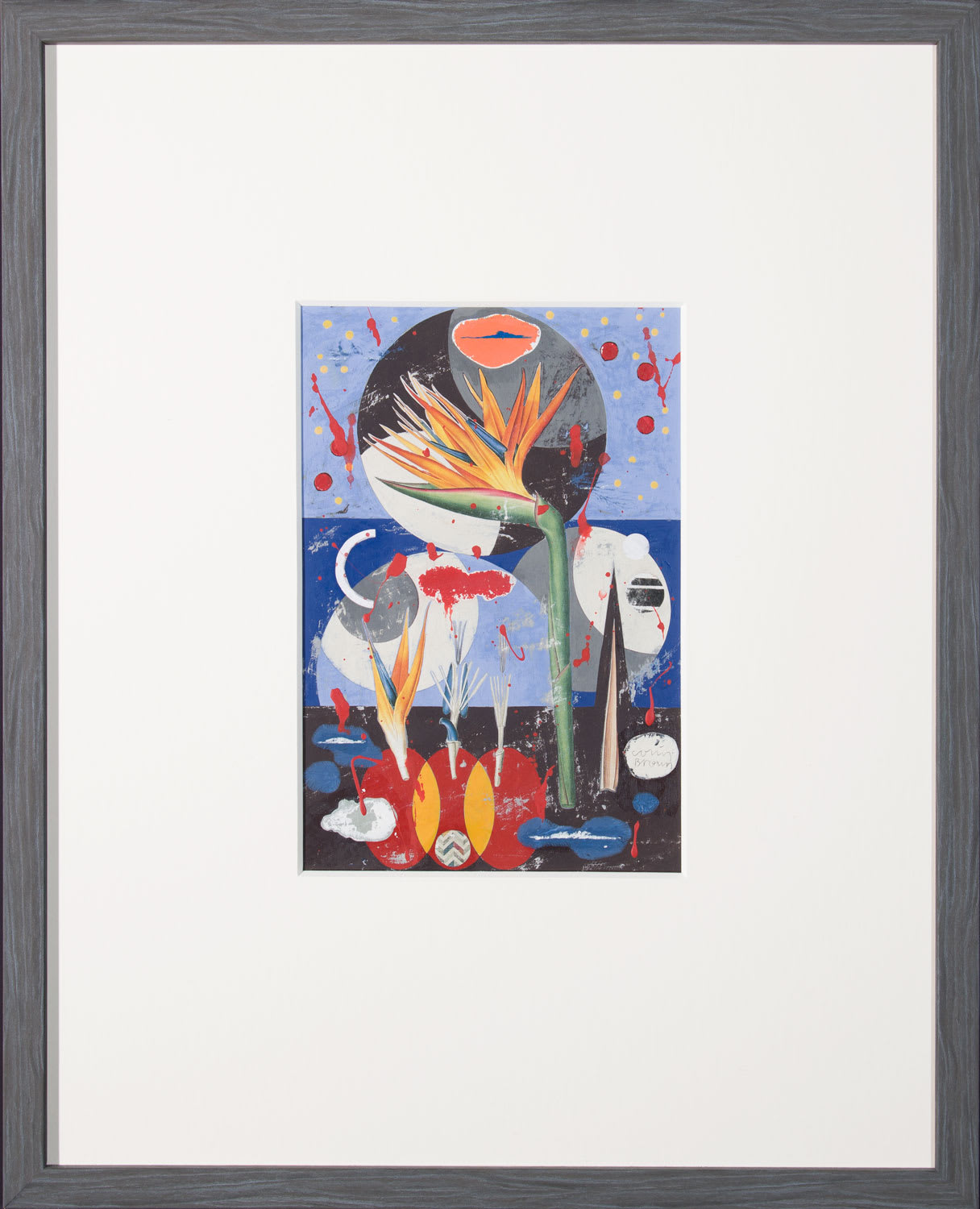 Colin Brown, Bird of Paradise, 2020