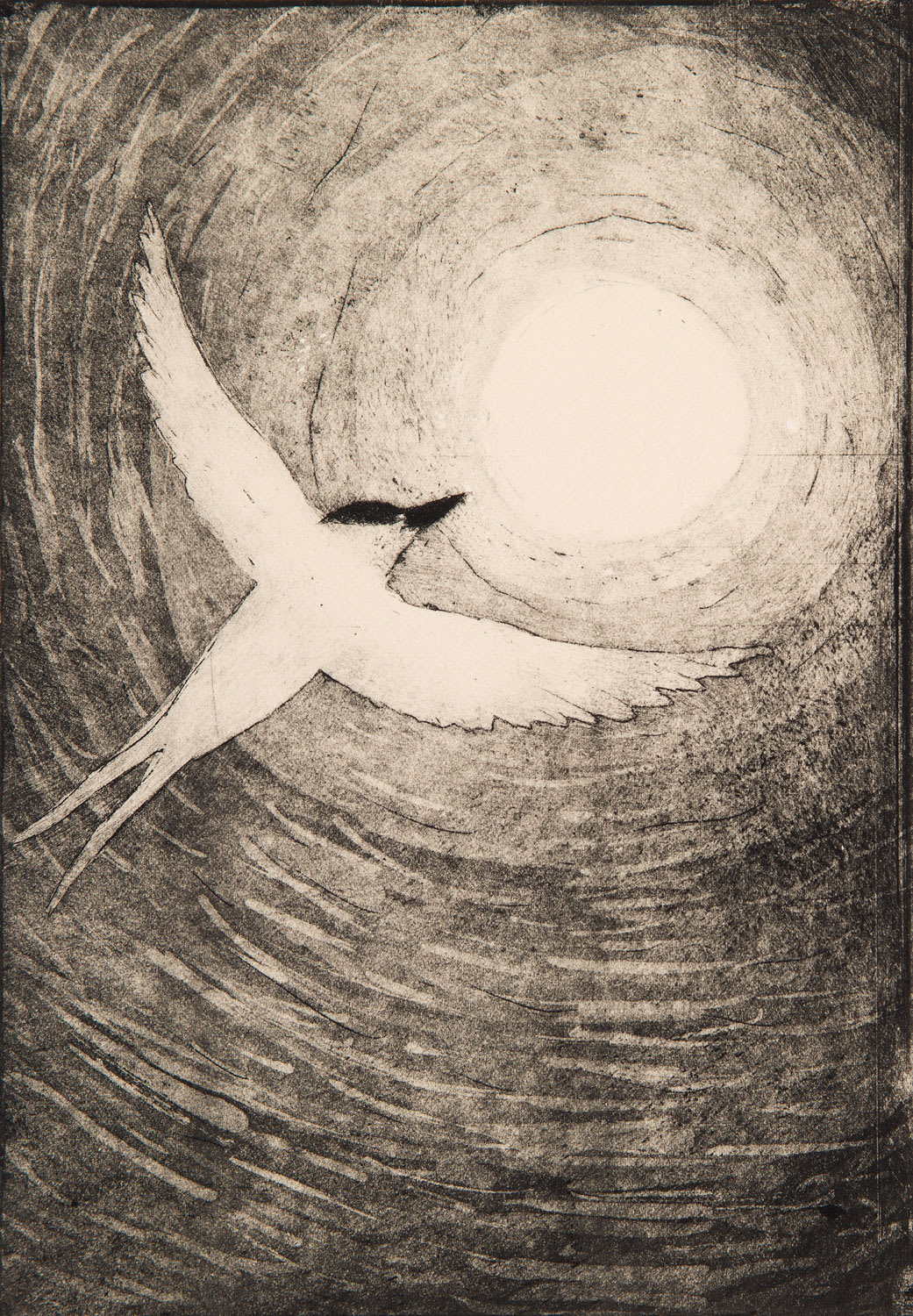 PAUL BLOOMER | entering the light | etching | kilmorack gallery