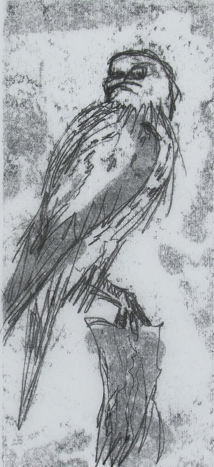 Helen Denerley, Kestrel, 2023