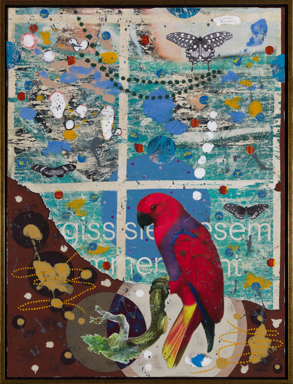 Colin Brown, Red Parrot, 2025