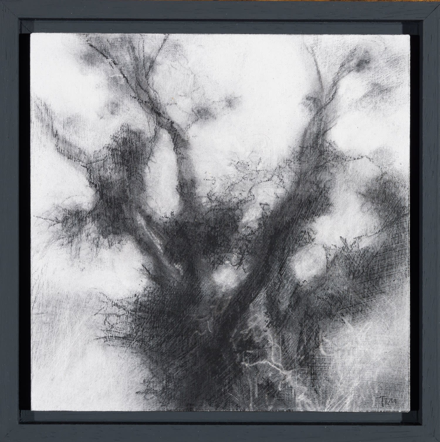 Tansy Lee Moir, Brustle, 2025