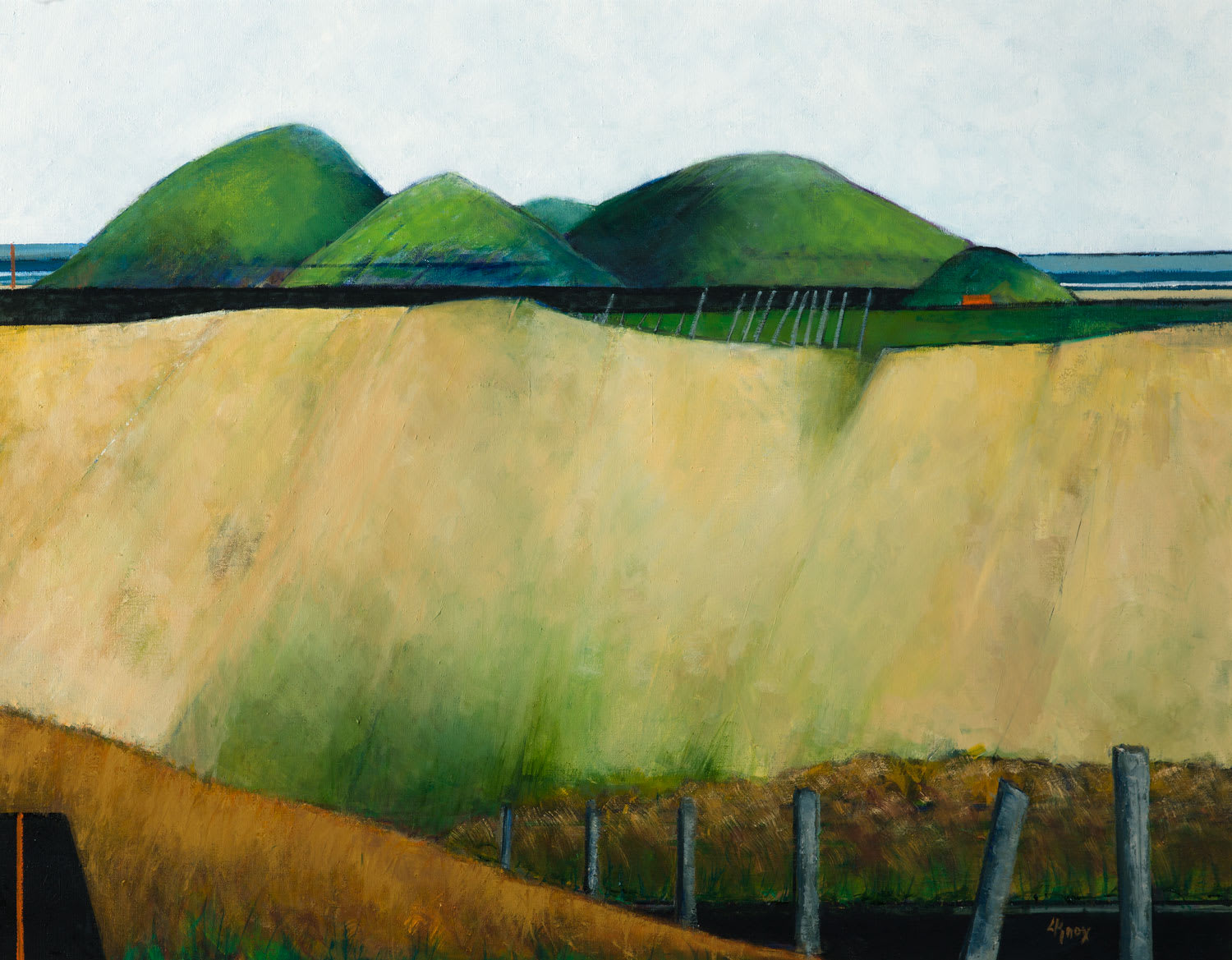 Liz Knox, Achnaidhean Buidhe Sutherland (yellow fields Sutherland), 2020
