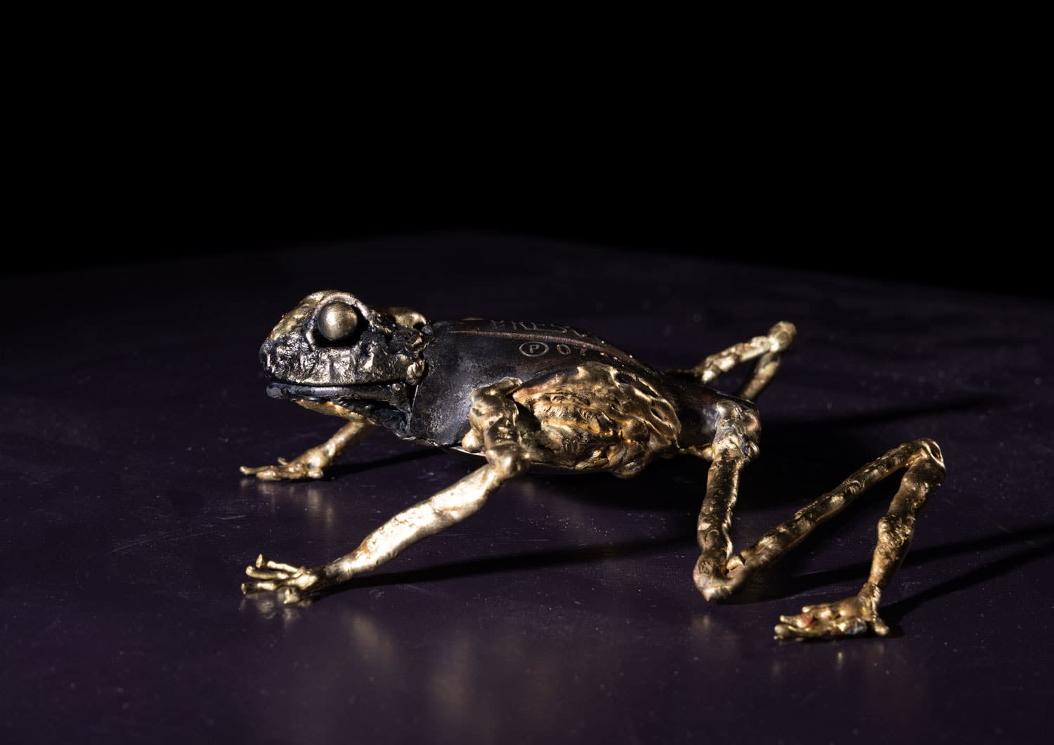 Helen Denerley, Frog ii, 2025