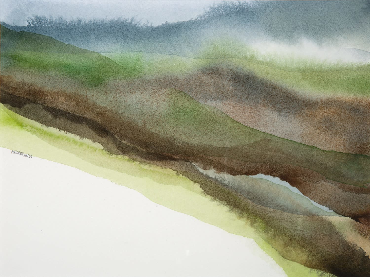 Peter Davis RSW, Upper Kergord