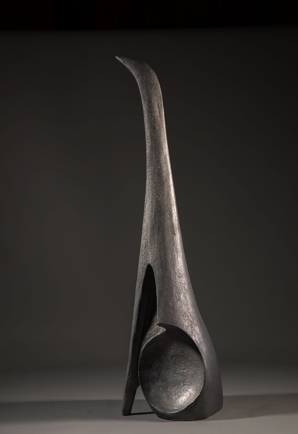 illona Morrice Cormorant Skull Sculpture