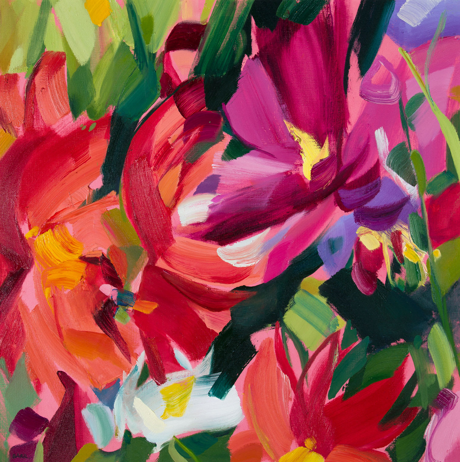 Cosmos and Dahlias | SHONA BARR