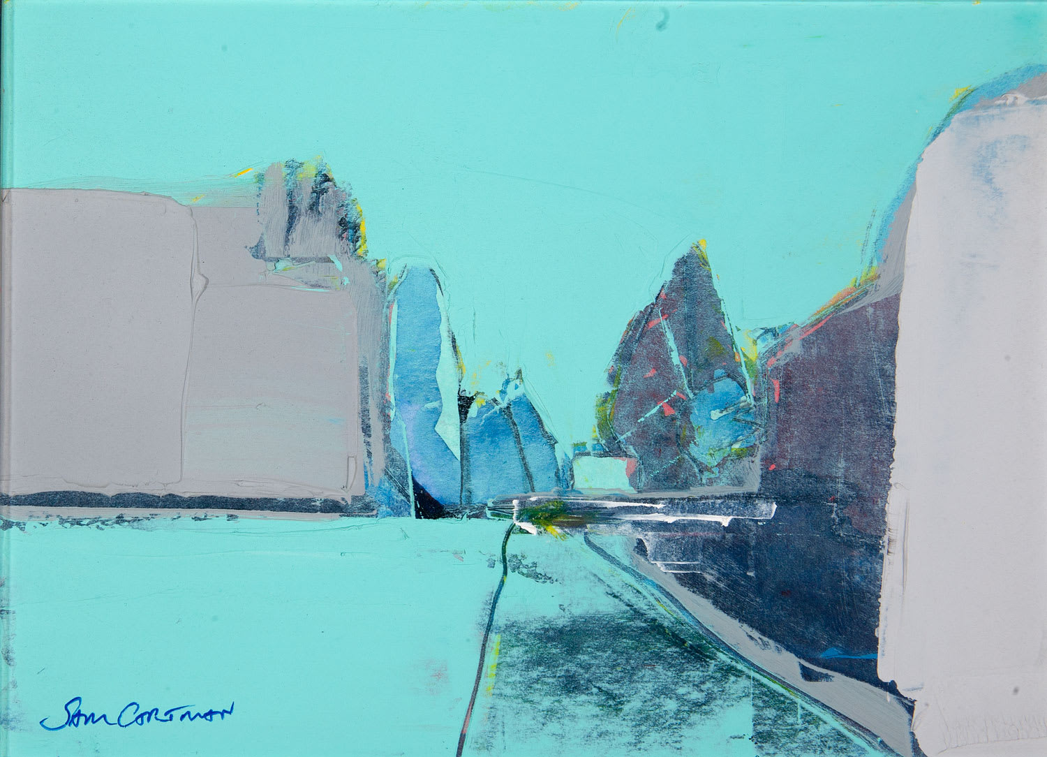 Sam Cartman, Ae Forest study