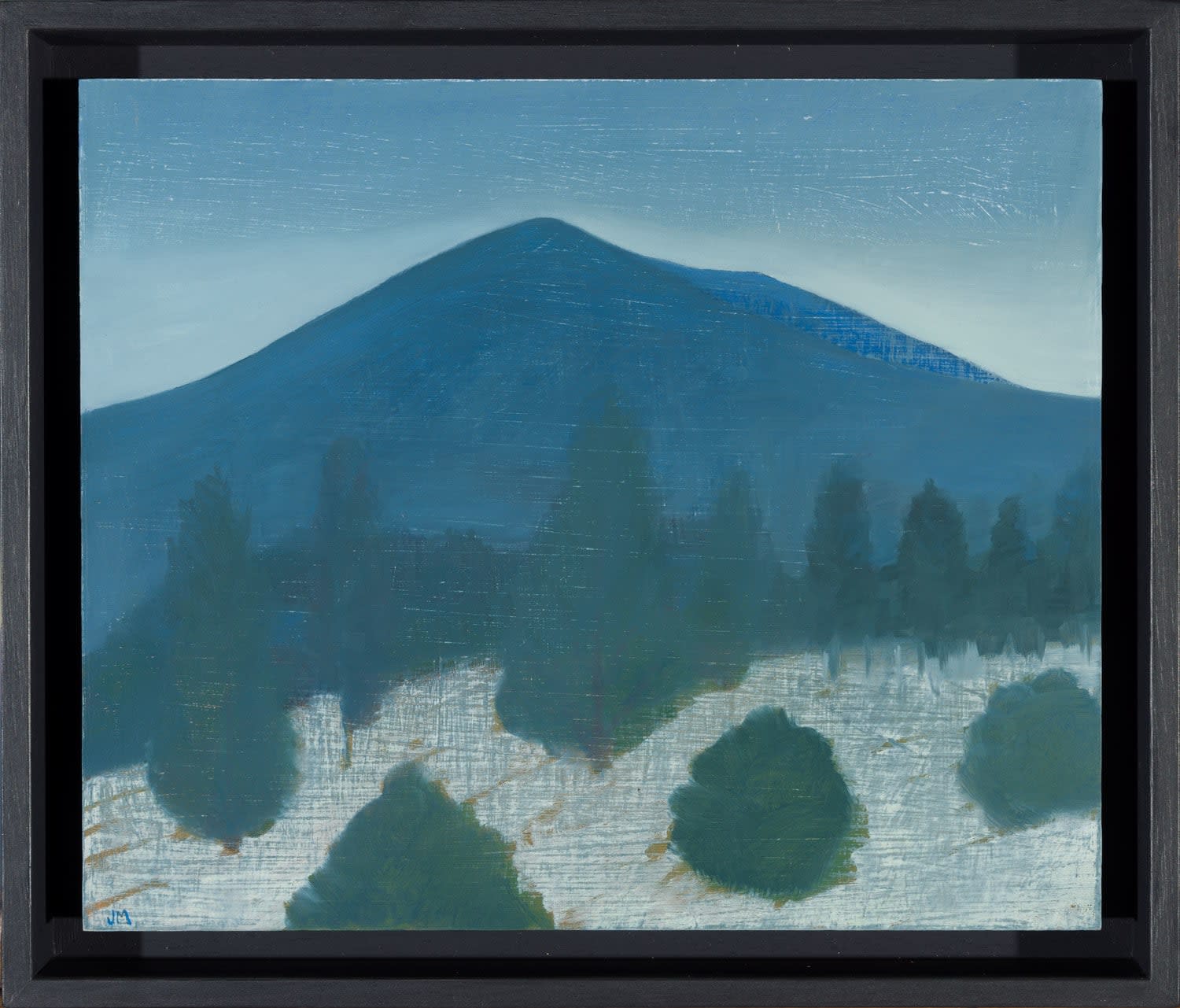 Jane MacNeill, A dusting of snow, young trees (meall a' Bhuachaille), 2023