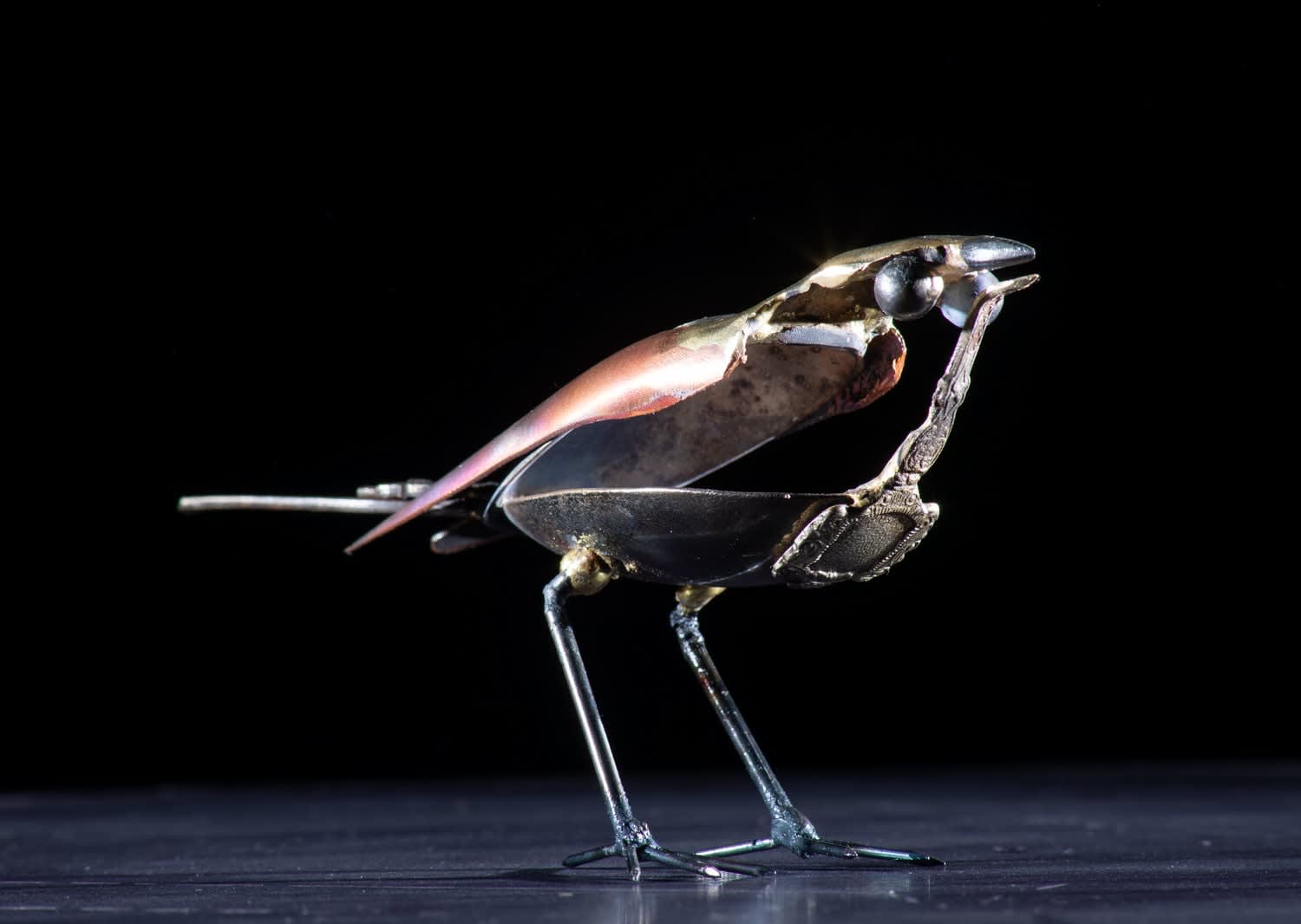 Lincoln Catherdral Imp BIrd