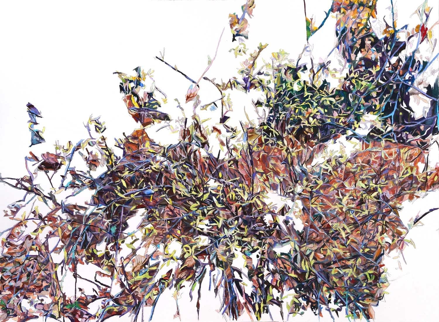 Patricia Paolozzi Cain, Living as a Process, 2015