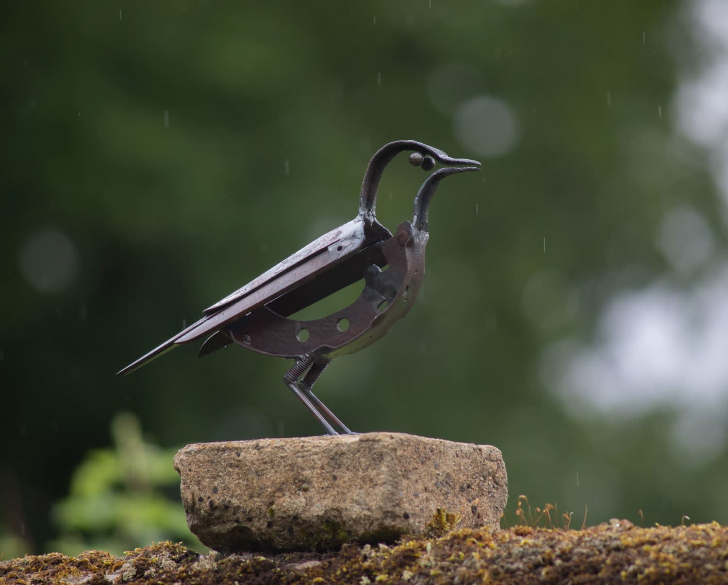 Helen Denerley starling