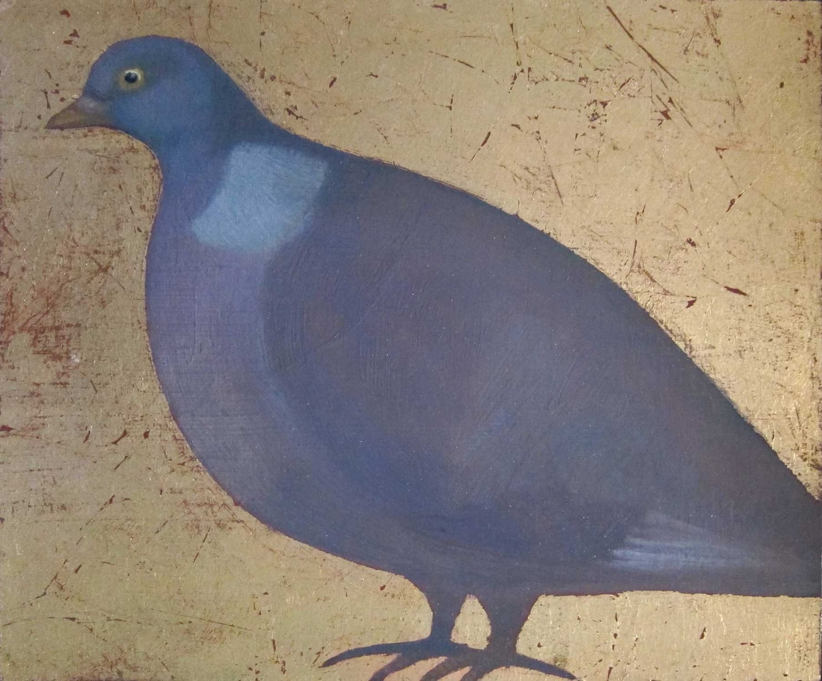 Jane MacNeill, Wood Pigeon Facing Left, 2015