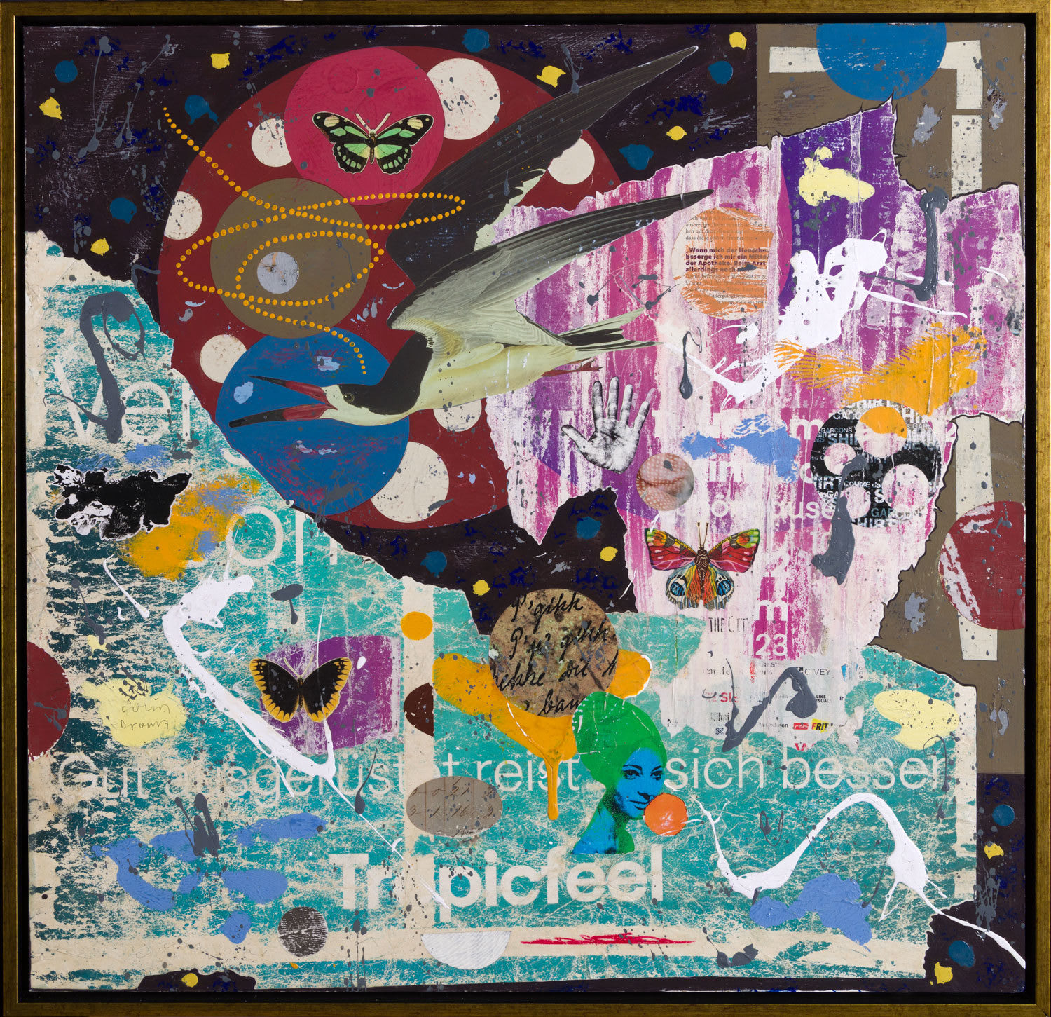 Colin Brown, Tropicfeel, 2025