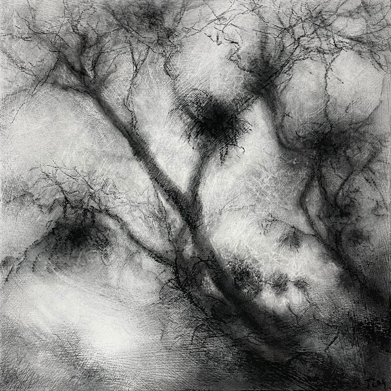 Tansy Lee Moir, Sprig, 2025