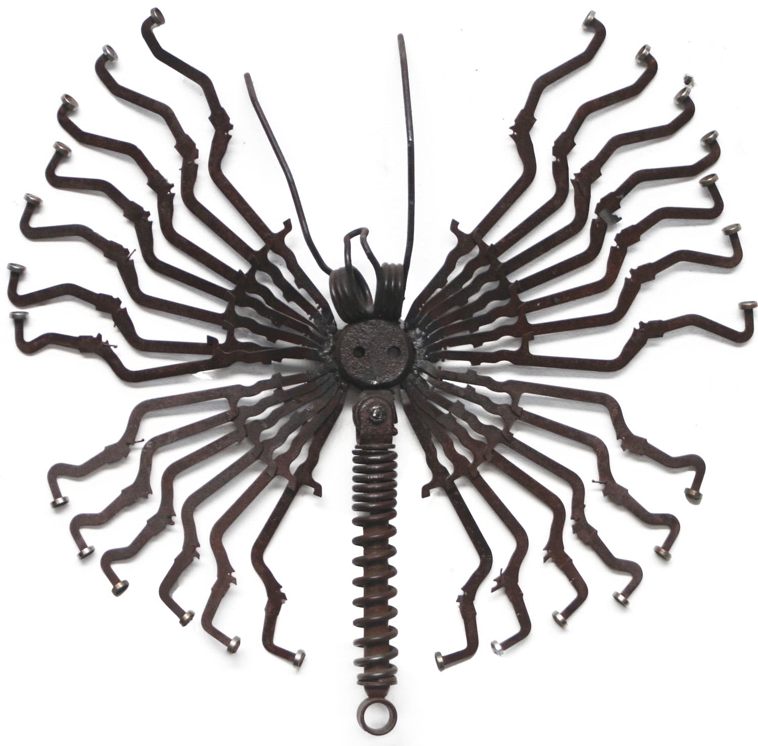 Typewriter Moth Helen Denerley