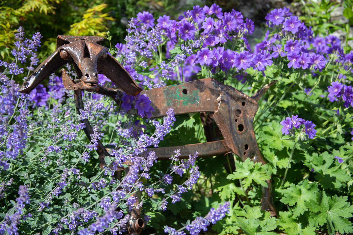 Helen Denerley Mountain Goat Kid