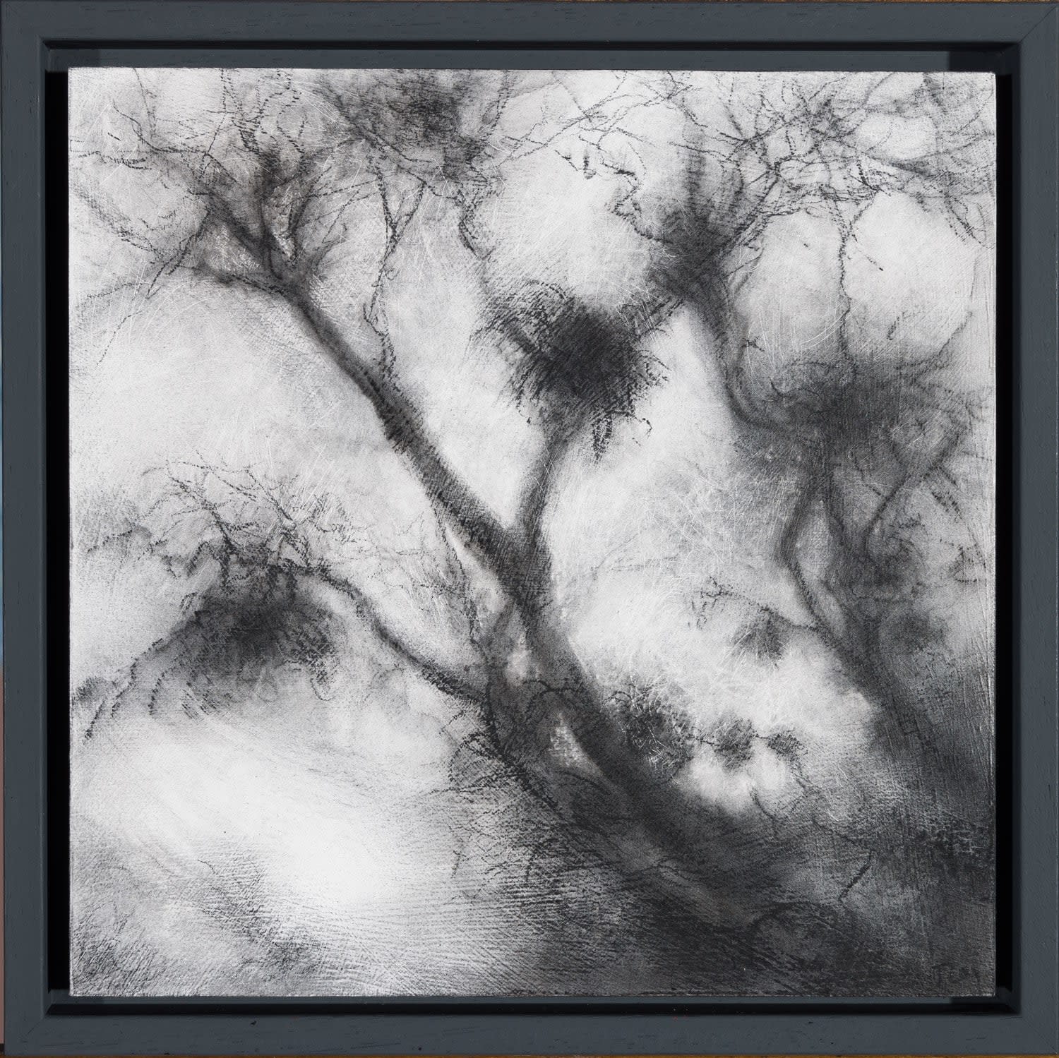 Tansy Lee Moir, Sprig, 2025