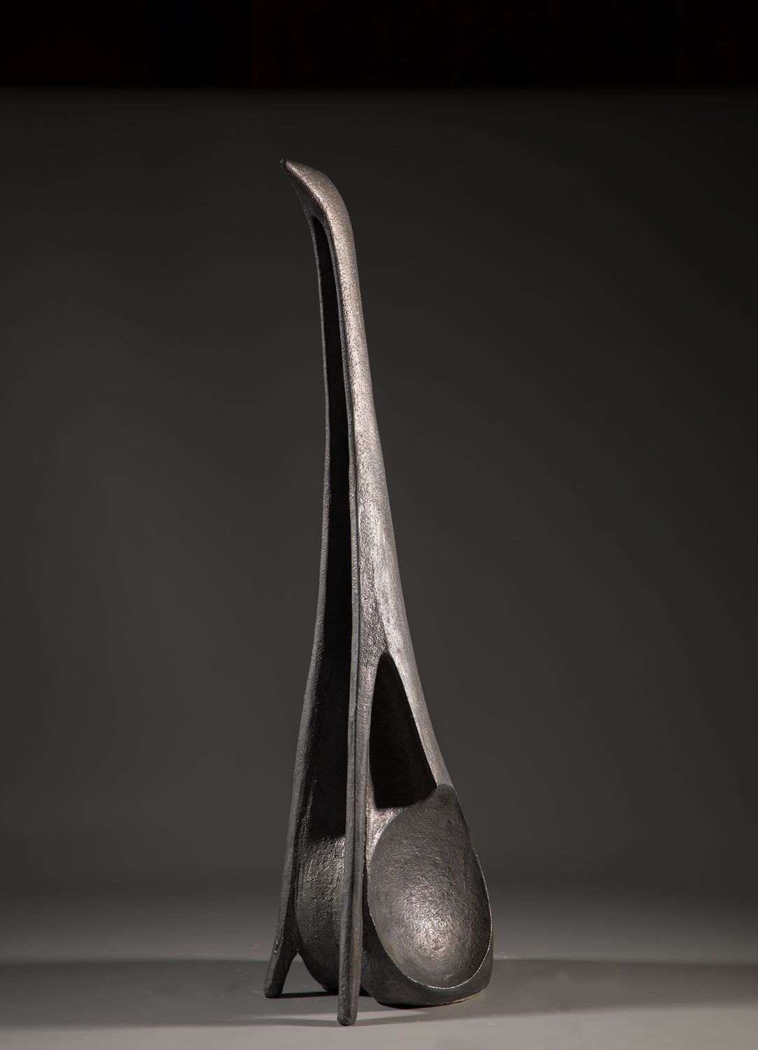 illona Morrice | Cormorant Skull | Kilmorack Gallery