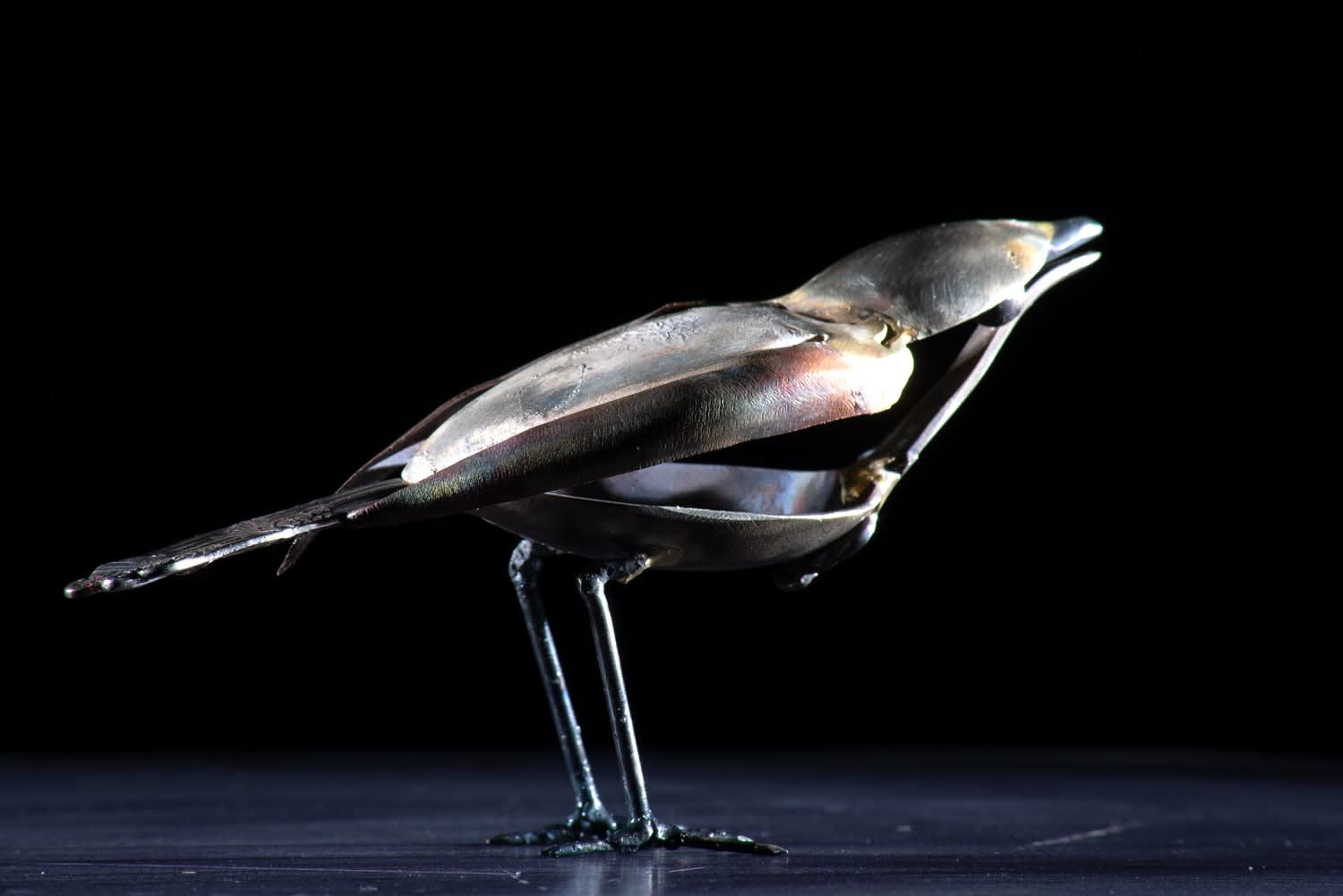 Helen Denerley, Spoon Bird - Rolex, 2023