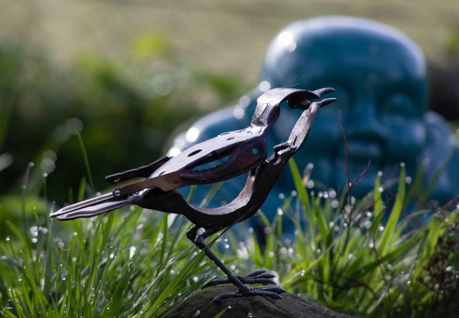 Salvage Bird Helen Denerley