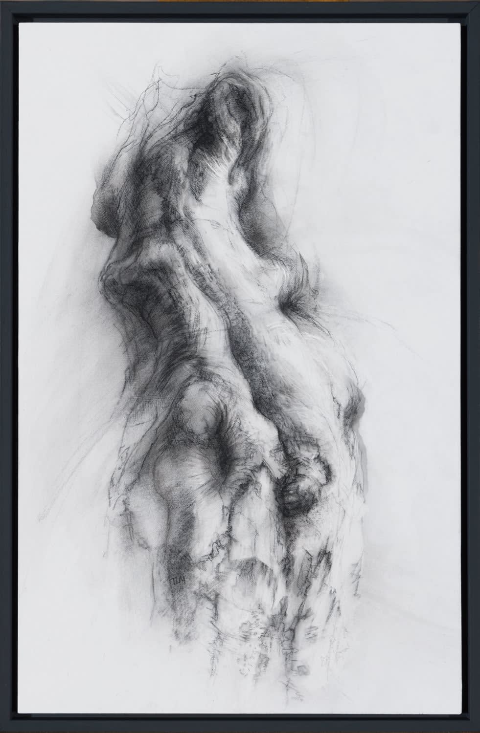 Tansy Lee Moir, Transmuted, 2023