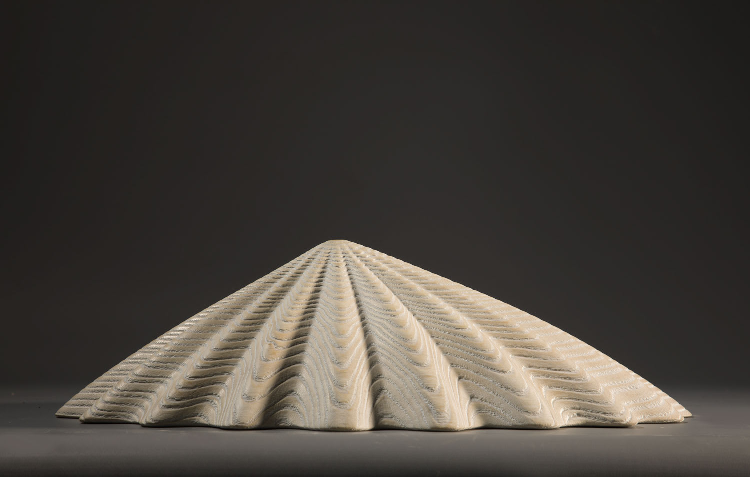 Duke Christie, White Limpet, 2020