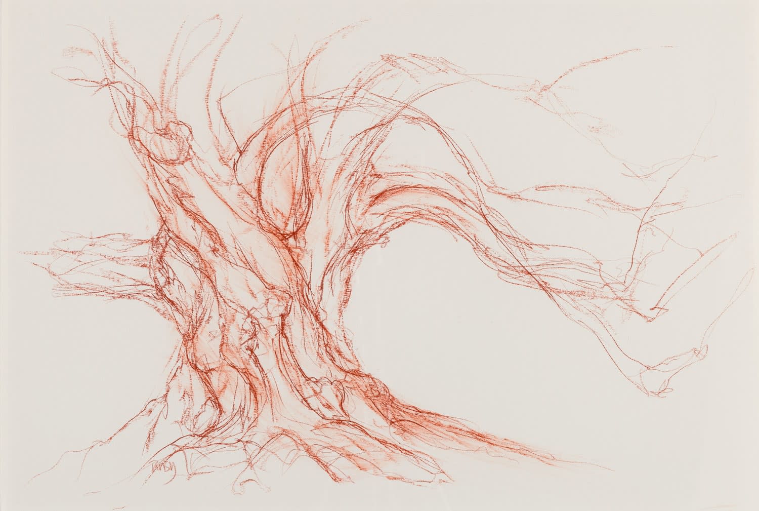 Tansy Lee Moir, Binns Lime West, 2022