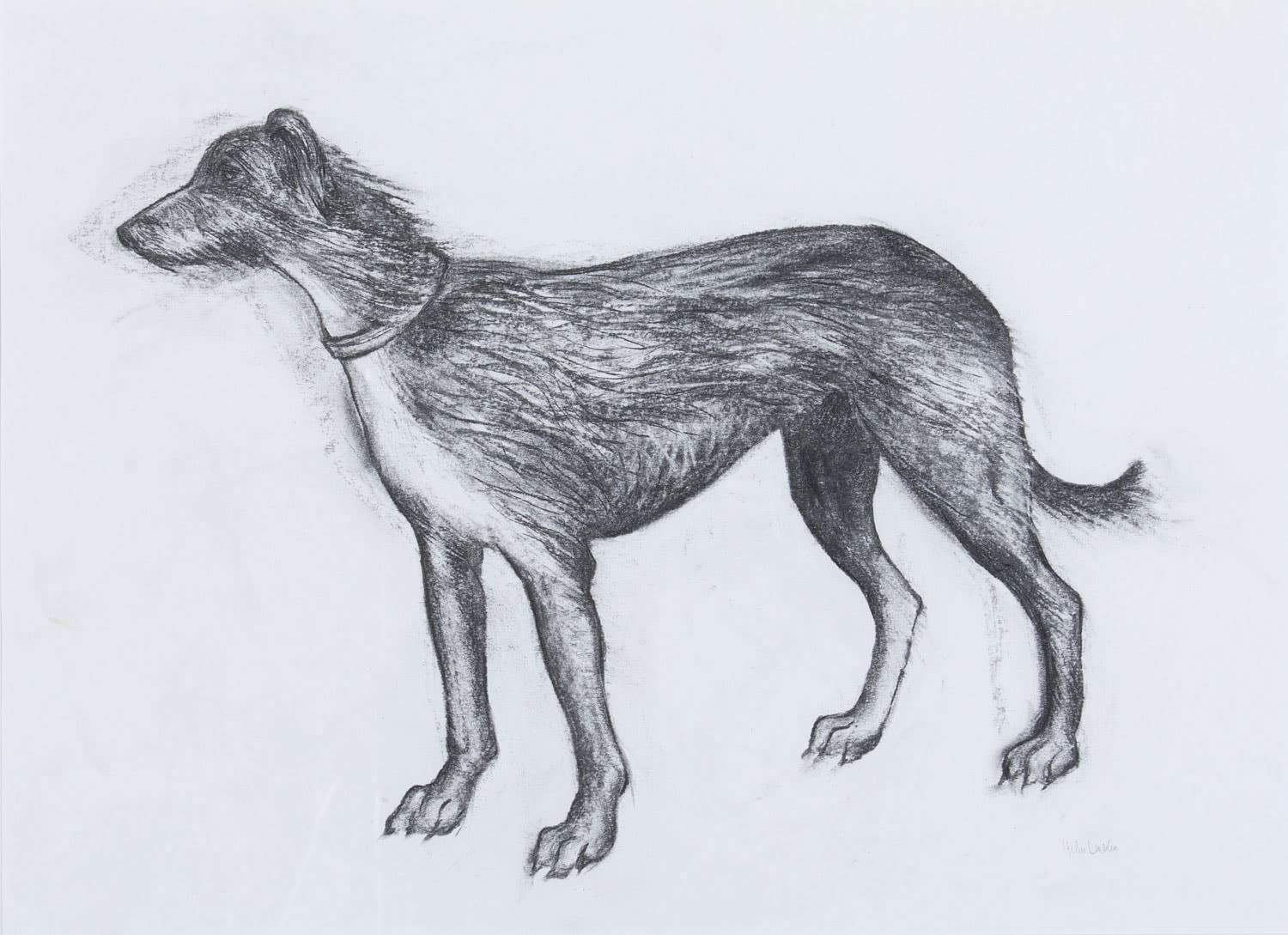 Helen Denerley, Lurcher