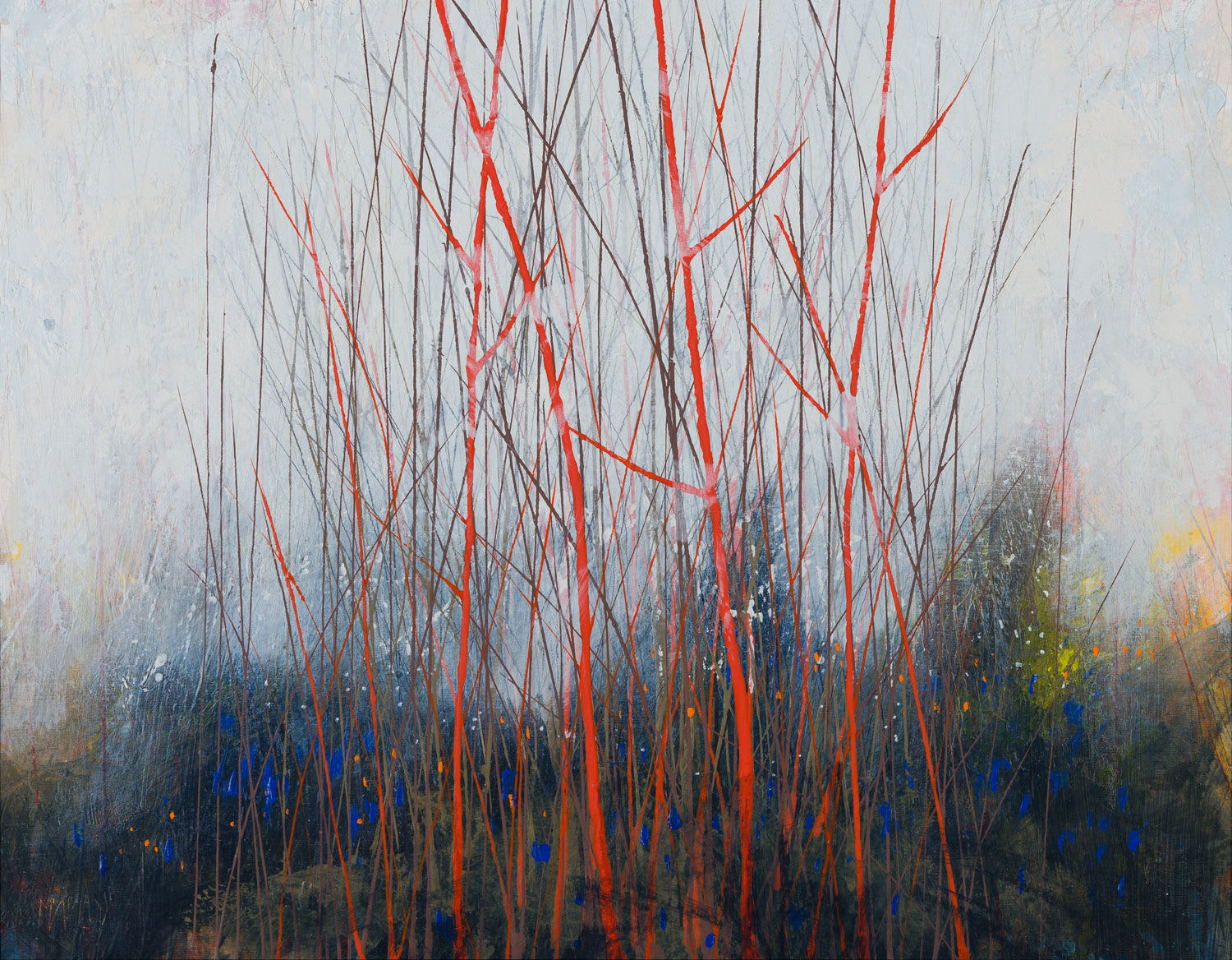 Robert McAulay, Still iv, 2024