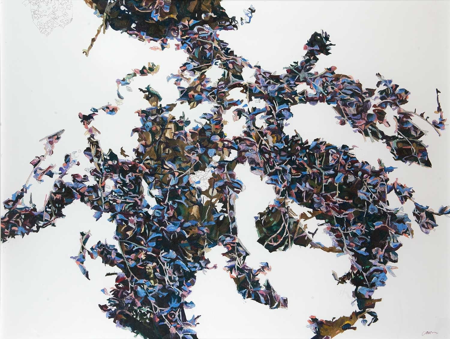 Patricia Paolozzi Cain, Beech Tree, 2015