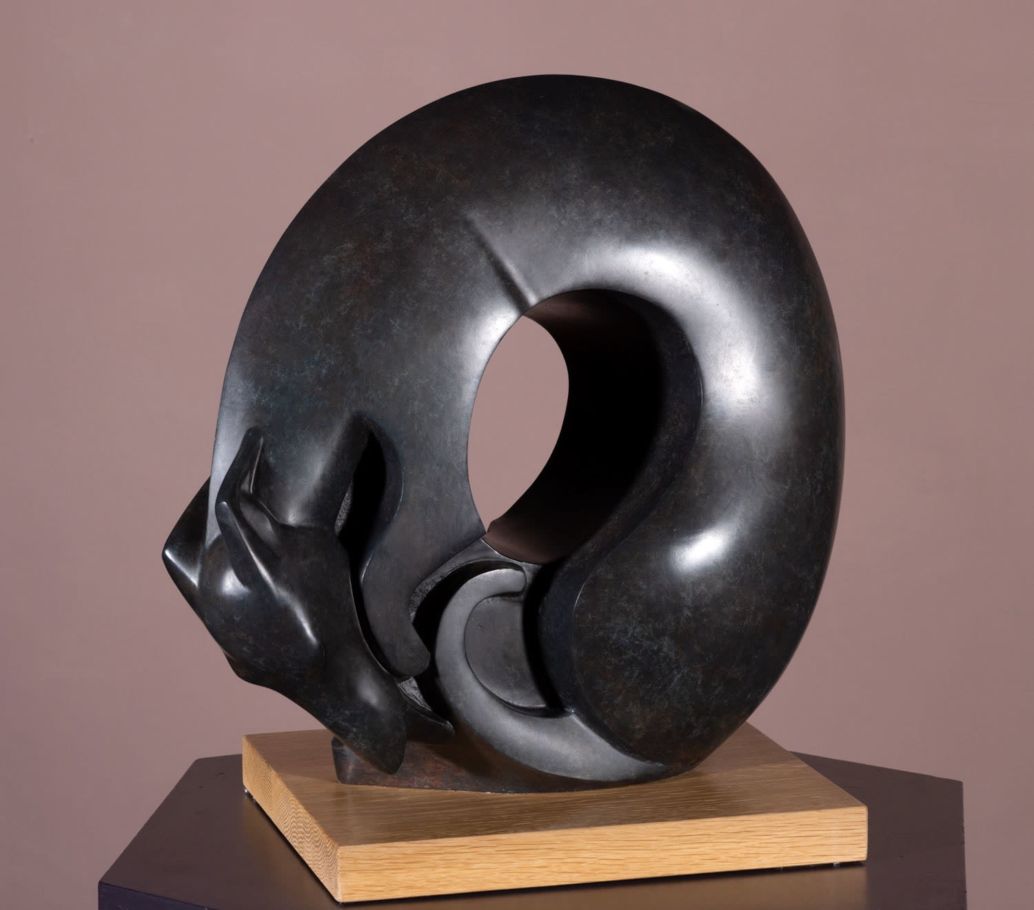 Illona Morrice, Hound