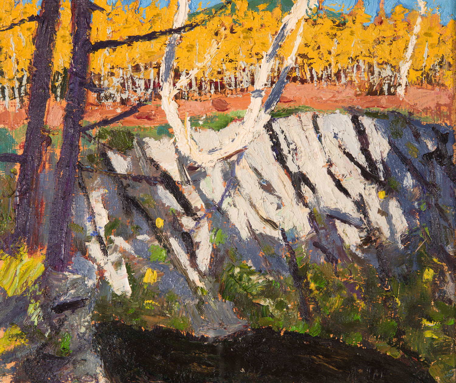 Allan MacDonald, larch angels, Black Water, 2019