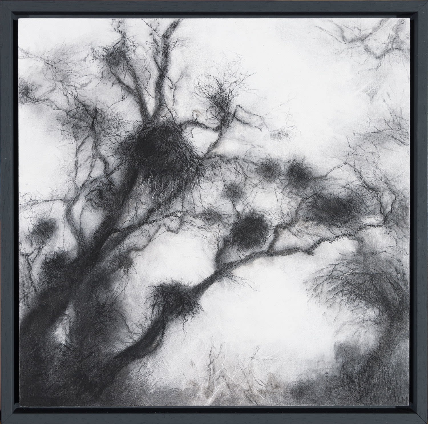 Tansy Lee Moir, Knurlt, 2025